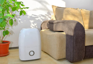 Portable dehumidifier collecting water from air inside of living room